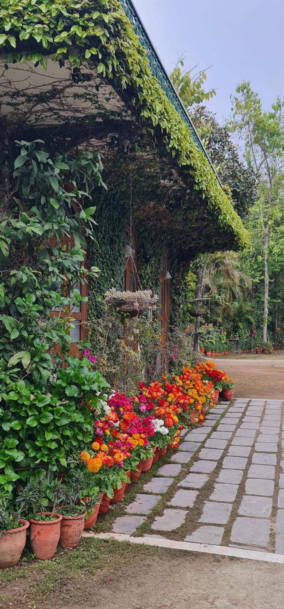 Shaheen Bagh - A Luxury Boutique Resort & Spa Rājpur 外观 照片